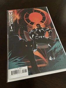 NM π₯ ULTIMATE BLACK PANTHER #1 2024 π₯ KAREN DARBOE VARIANT MARVEL - Picture 1 of 11