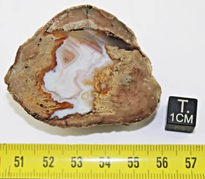 Lithophyse des Estérel-Massivs im Var - Frankreich (46 Gramm - 001 **) - Bild 1 von 6