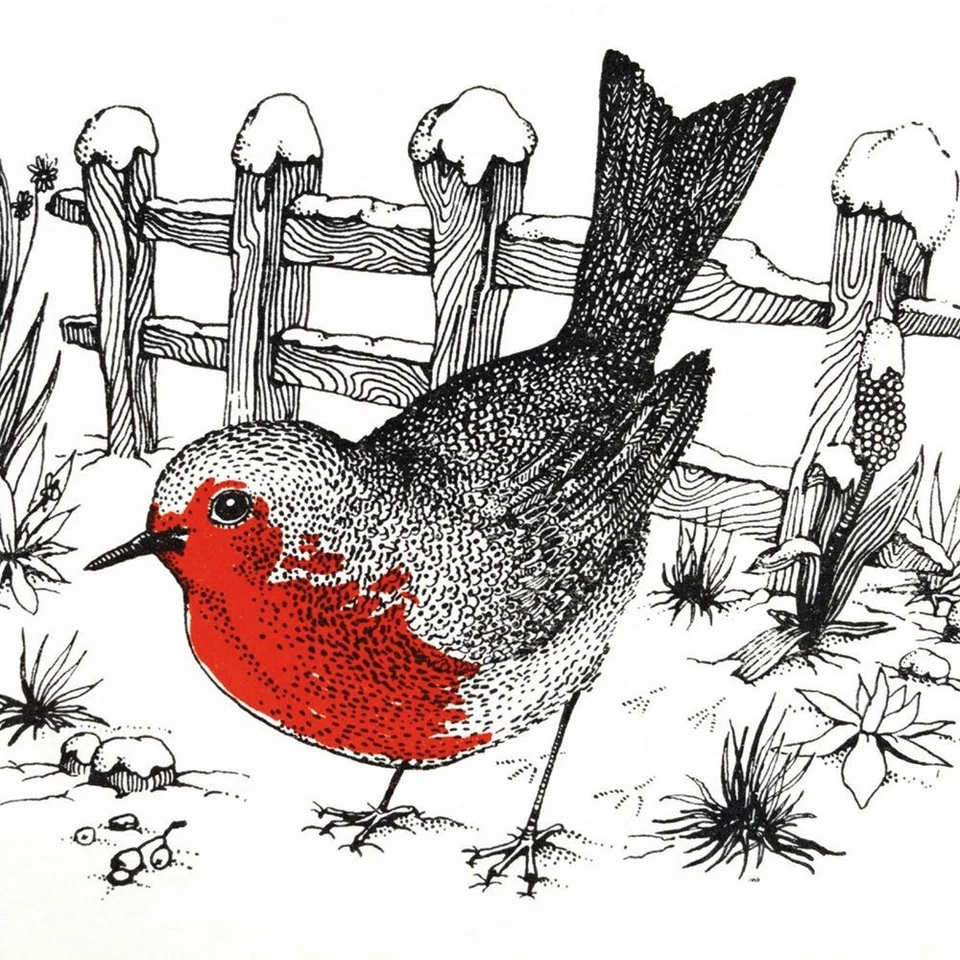 MUSEUMS & GALLERIES V&A Robin Redbreast Pack of 8 Christmas Cards