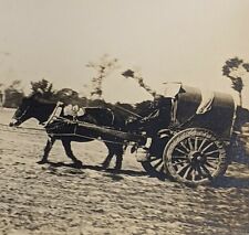 Photographie ancienne de la Chine années 1910 Hunon Express chariot à chevaux limité homme chinois