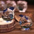 Art&Collection Crystal Miniature Souvenir Gifts Table Ornaments  Home&Office