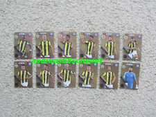 PANINI FIFA 365 2019 Alle 12 FENERBAHCE LIMITED EDITION 19 Made in Italy - NEU