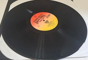 Down South Bass Dawgs Single Vinyl 12" Feat Trump Tight 90s Hiphop Bounce NM - Picture 1 of 3