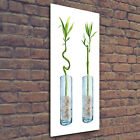 Wandbild Kunst-Druck auf Hart-Glas hochkant 50x125 Bambus Topf