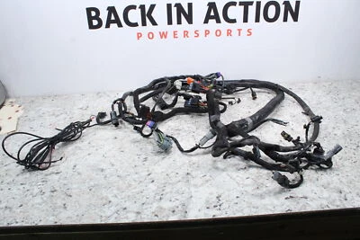 Harley-Davidson Dyna Super Glide 2009 arnés de cables FXDC PERSONALIZADO 69603-08A Foto 1 de 4