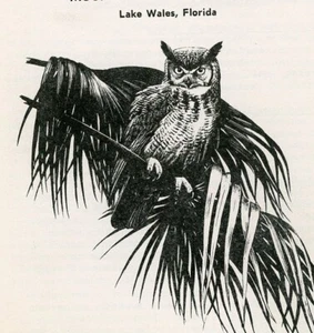 1968 Mountain Lake Sanctuary Besucherführer Naturpfad Wales FL R T Peterson - Bild 1 von 6