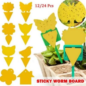24x Yellow Sticky Fly Trap Paper Traps Fruit Flies Insect Aphids Glue Catcher AU - Picture 1 of 13
