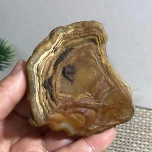 Beautiful ! Natural GoBi agate eye Agate Crystal Stone Specimen Healing 106g - Imagen 1 de 8