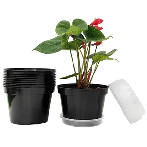 12 Pack Plant Pots, 8 Inch Plant Planter with Clear Saucer, Plastic Pots for ... - Picture 1 of 6
