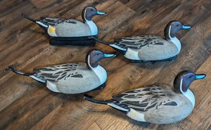 Avery GHG Greenhead Gear, Life Size Pintail Drake Duck Decoys Set of 4 FREE SHIP - Picture 1 of 13