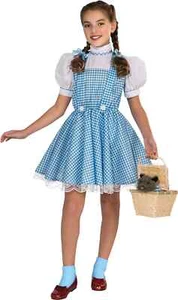 The Wizard of Oz Dorothy Costume Kids S (3-4) - Picture 1 of 1
