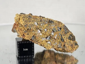 NWA 14429, diogenita, 18,27 g, meteorito HED cara pulida, cristales quirúrgicos grandes - Imagen 1 de 15