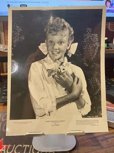 HAYLEY MILLS VINTAGE 9x7 PHOTO WALT DISNEY'S POLLYANNA Holding Kitten NBC Promo - Picture 1 of 2