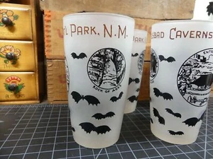 Carlsbad Cavern Cave Bats New Mexico Souvenir Vintage Frosted Glasses 4 in Set - Picture 1 of 6
