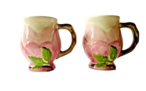 Set of 2 - Franciscan Desert Rose Pattern  Sculpted Mug Made in Portugal - Picture 1 of 5