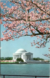 Jefferson Memorial Washington D. C. Chrome Postcard - Picture 1 of 2