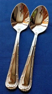 Waterford RUSSBOROUGH Set of 2 Teaspoons 18/10 Stainless China - Picture 1 of 2