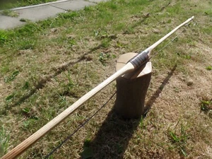 Holmguaard bow 46#@28" ash,horn arrowpass,lilac nocks - Picture 1 of 11