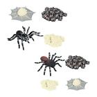 Life Cycle Spider Toys Teaching Tools Science Project Party Favors Learning