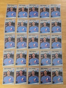 Lot (25) Randy Johnson 1989 Fleer Rookie card #381 Expos Mariners Diamondbacks - Picture 1 of 6