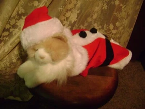NEU OHNE ETIKETT - HUND/KATZE GRÖSSE M/L PLÜSCHTIER WEIHNACHTSMANNMÜTZE & MANTEL WEIHNACHTSOUTFIT/KOSTÜM! - Bild 1 von 10