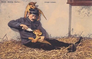 Basel Zoo AK 1917 Junge Löwen mit Pfleger Suisse Schweiz 2407134 - Picture 1 of 2