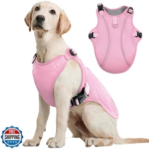 Kuoser Gilet di Raffreddamento per Cani di Taglia Grande, Giacca Raffreddante Leggera per Cani Respiratori - Foto 1 di 5