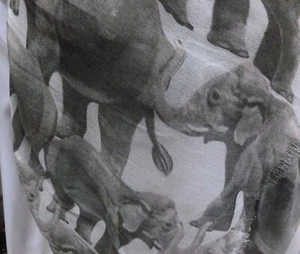 TOLANI HATHI MODAL SCARF ELEPHANTS IN MULTI SHADES OF GREY 40" X 72" NEW W/TAG - Picture 1 of 5