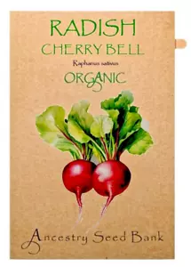 Organic RADISH 🌱 CHERRY BELL ❁ 100 Seeds HEIRLOOM 🌱 Non GMO - Picture 1 of 3