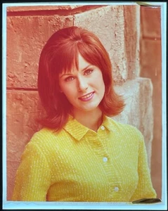 Susan Clark Schauspielerin gelber Knopfpullover 1960er Jahre Transparenz 4x5 Zoll - Bild 1 von 1