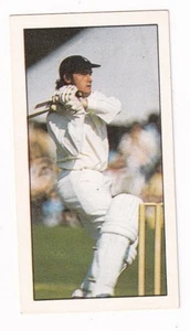 DAVID TURNER Hampshire 1978 Bassett Cricket Card First Series - Picture 1 of 2