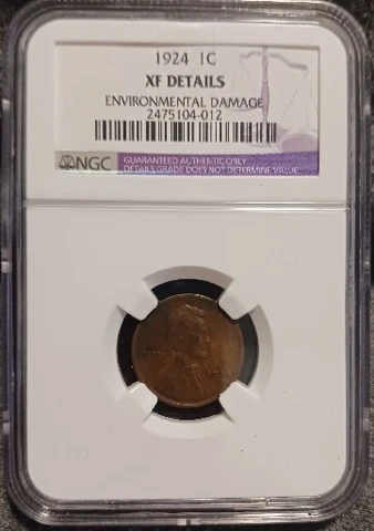 1924 Lincoln Wheat Penny NGC XF Details Cover