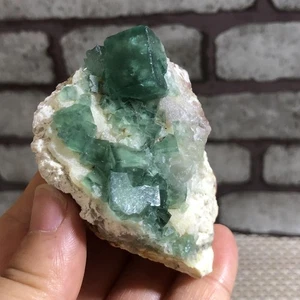 NATÜRLICHER grüner kubischer FLUORIT Kristall Cluster Mineral Probe 113g d187 - Bild 1 von 11