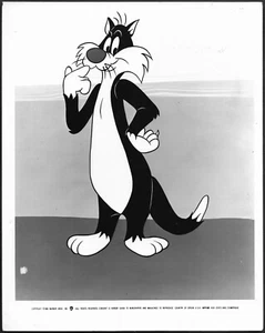 Warner Bros Animation Sylvester Original 1980s Promo Photo Cartoons - Picture 1 of 2