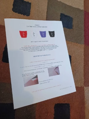 CORGI 258 The Saint Hood Decals - Image 1 of 2