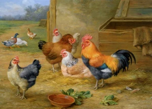 Home Art Wall Decor Chickens on The Farm Oil Painting Picture Printed On Canvas - Picture 1 of 6