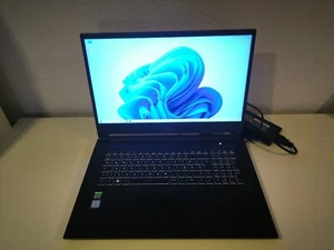 Gaming Laptop DS1709, 17.3", i7, 32GB RAM, 250GB SSD, GeForce RTX 2060, Win 11 - Bild 1 von 2