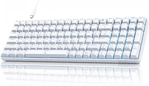 Dierya DK98SE Mechanical Keyboard with Linear Red Switches USB-C Cable White - Picture 1 of 8