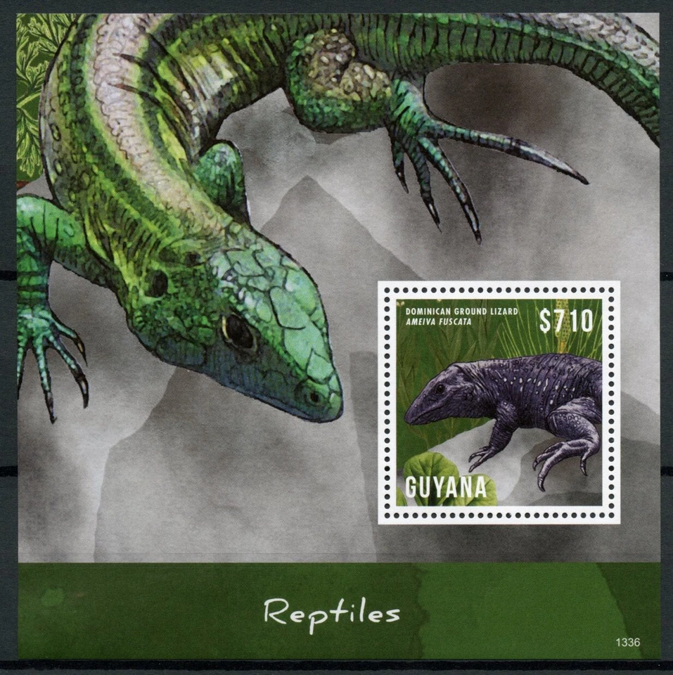 Guyana 2013 MNH Reptiles Stamps Dominican Ground Lizard Lizards 1v S/S - Image 1 of 1