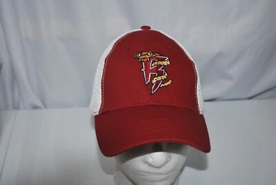 Gorra bordada de béisbol de ligas menores Wisconsin Timber Rattlers Foto 1 de 4