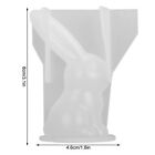 3D Long Ears Rabbits Shaped Resin Casting Molds 3D Animal Silicone Mould Kit Gfl