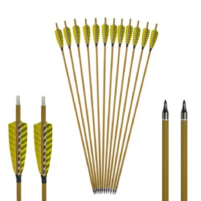 30" Archery Carbon Arrows SP450 ID6.2mm Natural Feather Recurve Bow Hunting - Image 1 of 4