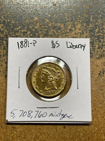 1881 P $5 LIBERTY Head HALF EAGLE U.S. Gold Coin HIGHER GRADE polished Cover
