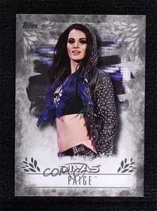 Topps WWE Undisputed Divas Revolution 2016 plata/50 Paige #DR-24 - Imagen 1 de 3