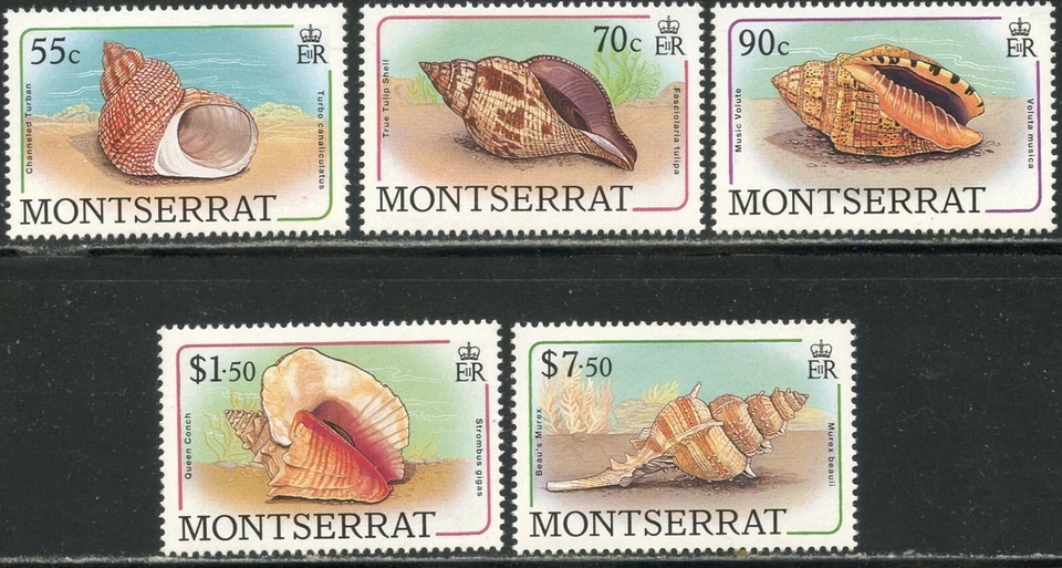 MONTSERRAT Sc#687-689, 692, 695 1988 Seashells Part Set OG Mint NH - Image 1 of 1
