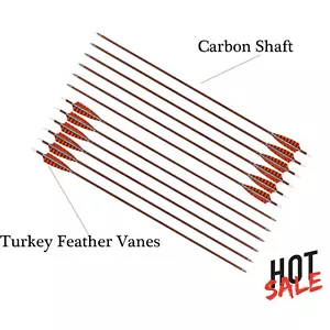 30" Carbon Shaft Archery Arrows, Spine 400 for Hunting & Target Practice Arrows - Picture 1 of 6