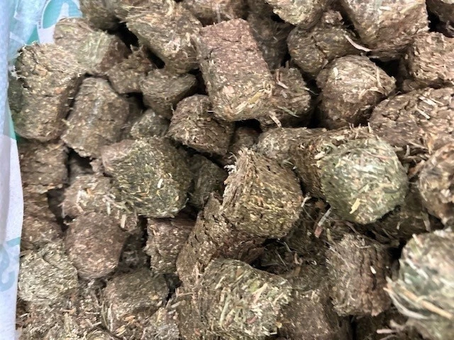 1kg Lucerne hay cubes - Horse treat FRESHLY PACKED - image 1 of 1