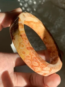 57.1mm Natural Coral Silicified Fossil Crystal Bangle/Clear natural pattern - Picture 1 of 6