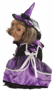 Purple Witch Medium Dog Costume Rubies Pet Shop - Picture 1 of 2