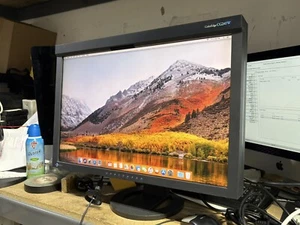 EIZO COLOREDGE CG245W - USED, EXCELLENT CONDITION - Picture 1 of 3